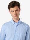 Cotton button -down shirt - Augustus