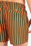 ARANCIO A RIGHE VERDI